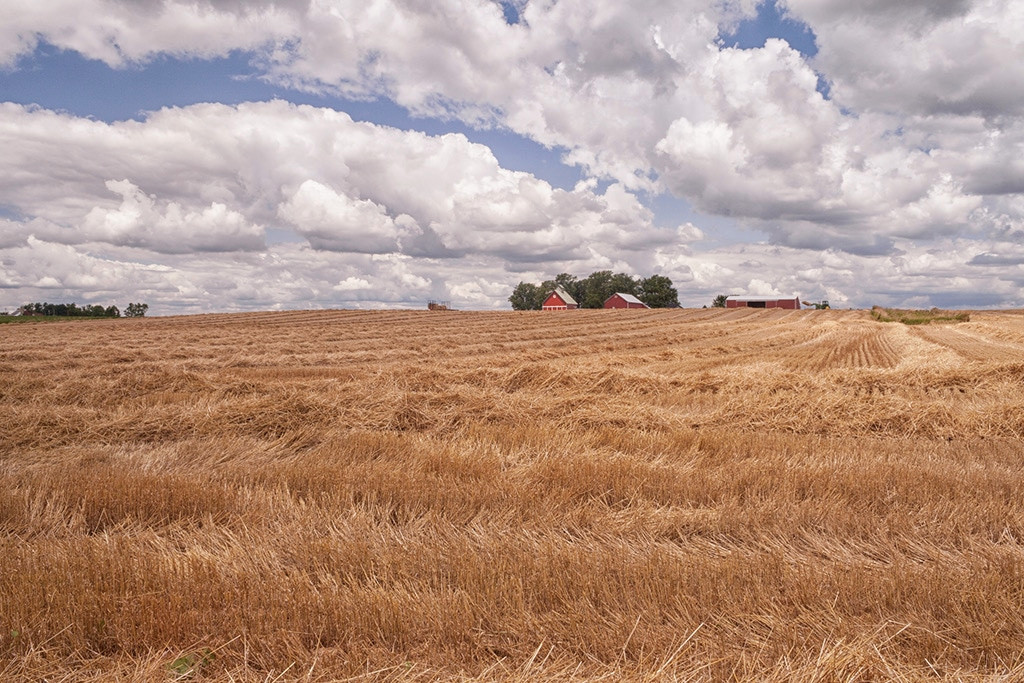 Dissertation vs thesis image