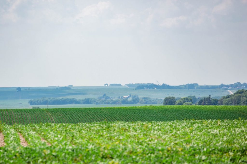picture of the horizon with a partly cloudy sky over a cultivated field.